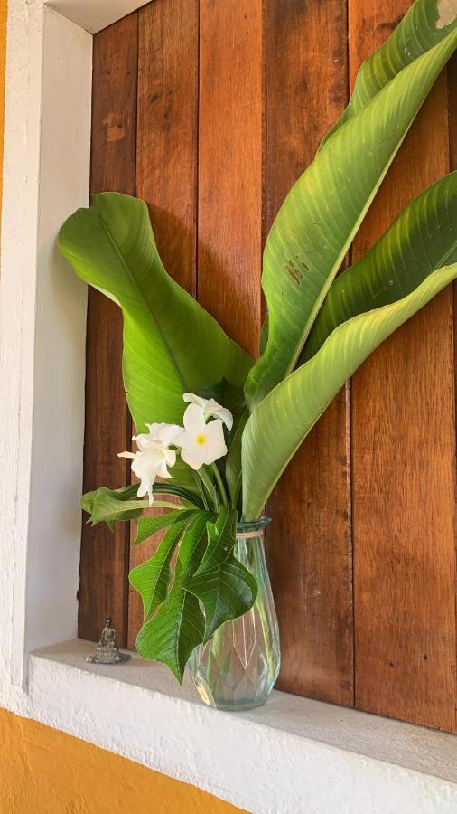 Ville Sweet Home Canoa Quebrada Exterior foto